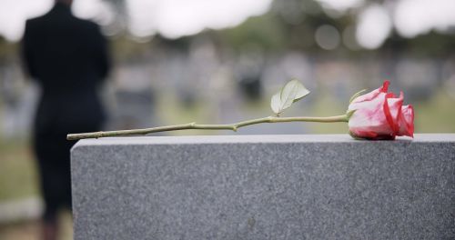 Funeral, cemetery and hands with rose on tombstone for remembrance. Trust after death concept